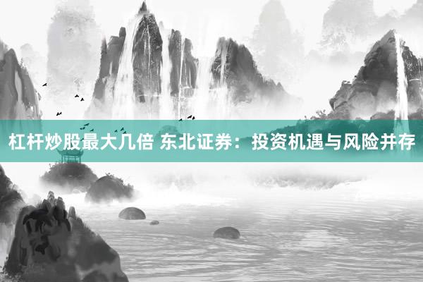 杠杆炒股最大几倍 东北证券：投资机遇与风险并存