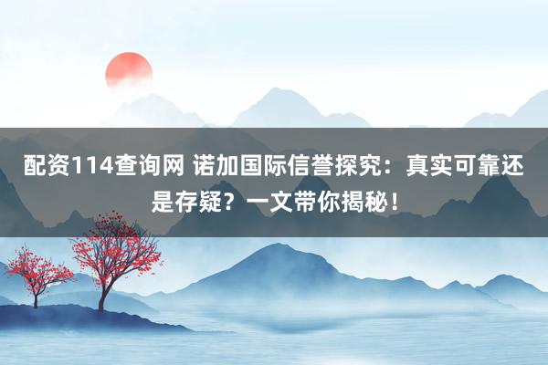 配资114查询网 诺加国际信誉探究：真实可靠还是存疑？一文带你揭秘！