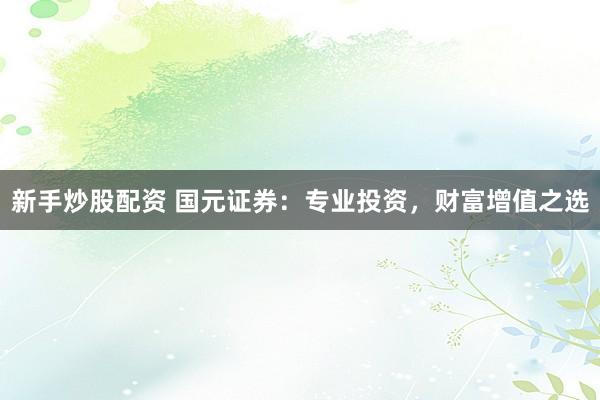 新手炒股配资 国元证券：专业投资，财富增值之选