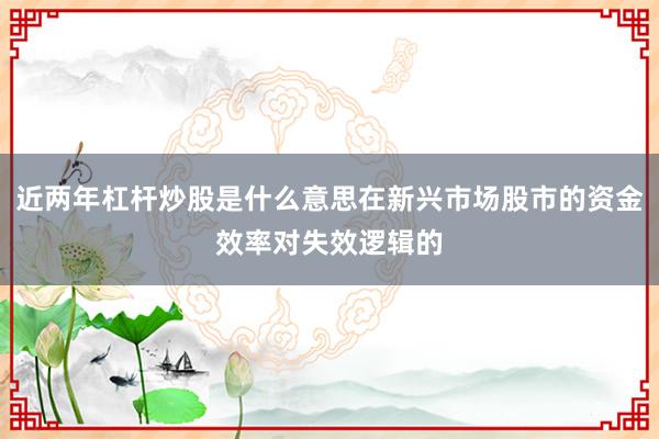 近两年杠杆炒股是什么意思在新兴市场股市的资金效率对失效逻辑的