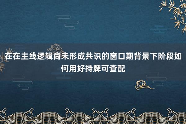 在在主线逻辑尚未形成共识的窗口期背景下阶段如何用好持牌可查配