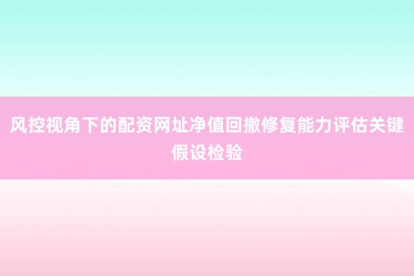 风控视角下的配资网址净值回撤修复能力评估关键假设检验